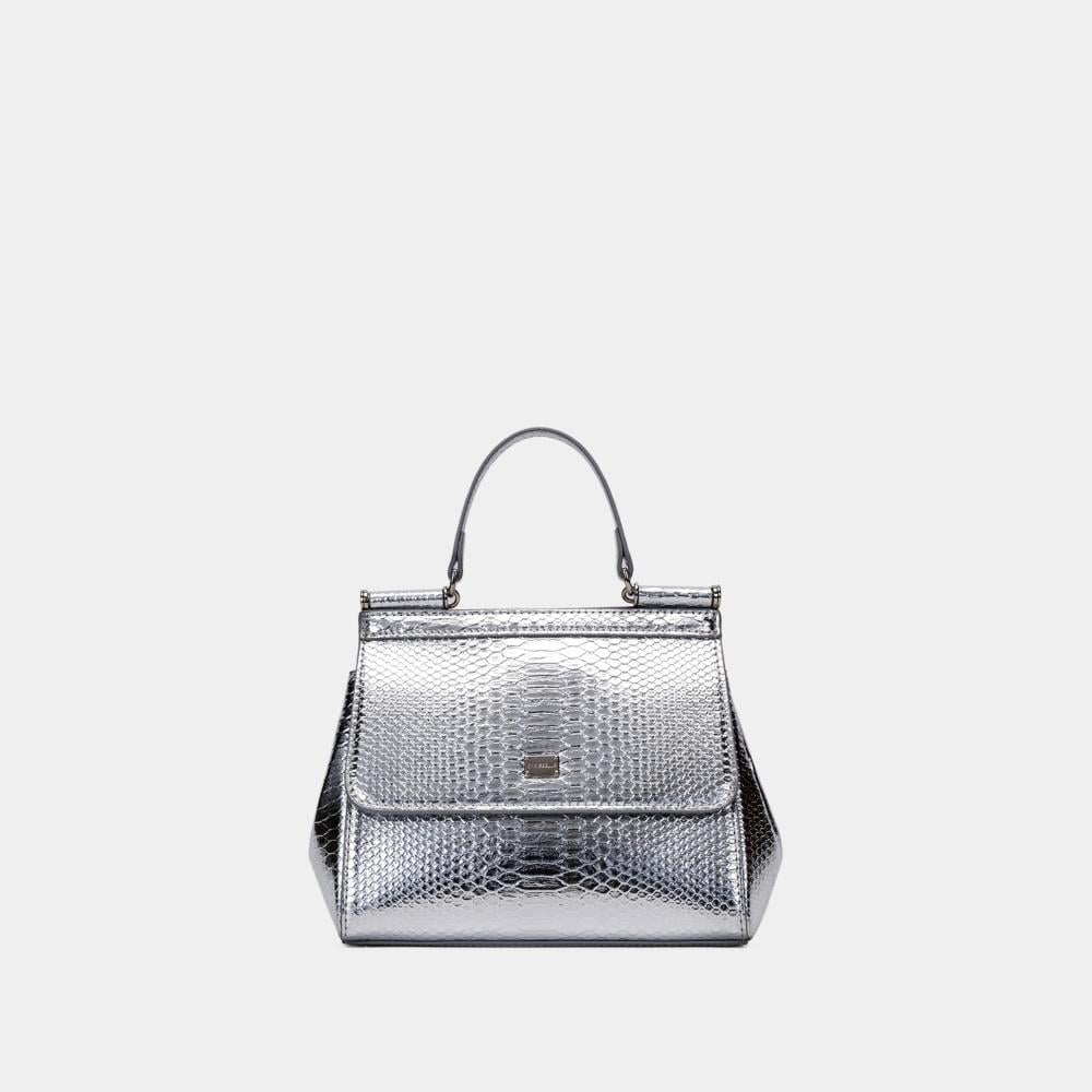 حقيبة يد ترندي silver